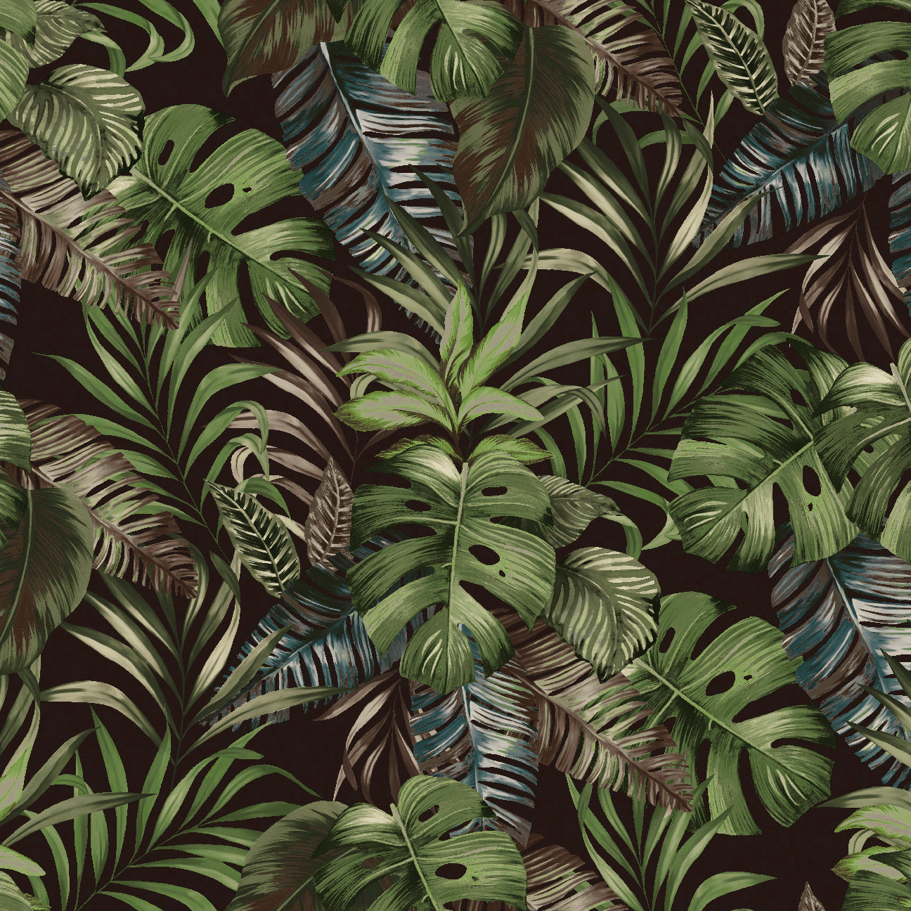 Maranta Preto