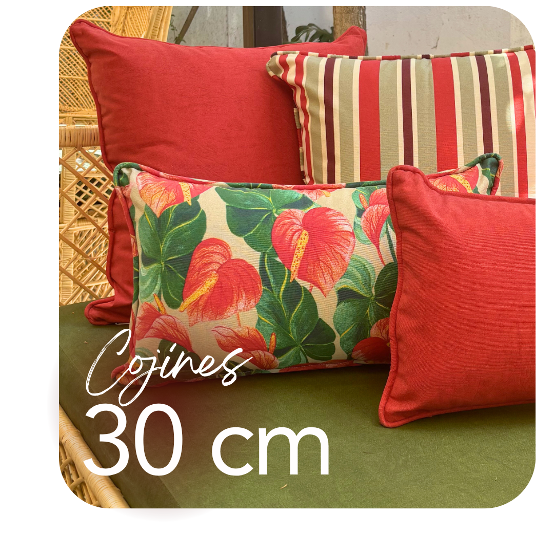 Cojines 50x30cm