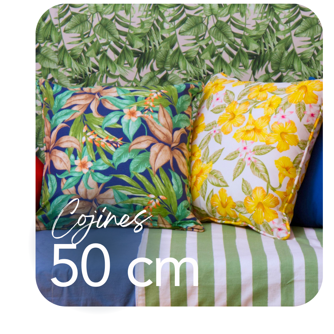 Cojines 50x50cm
