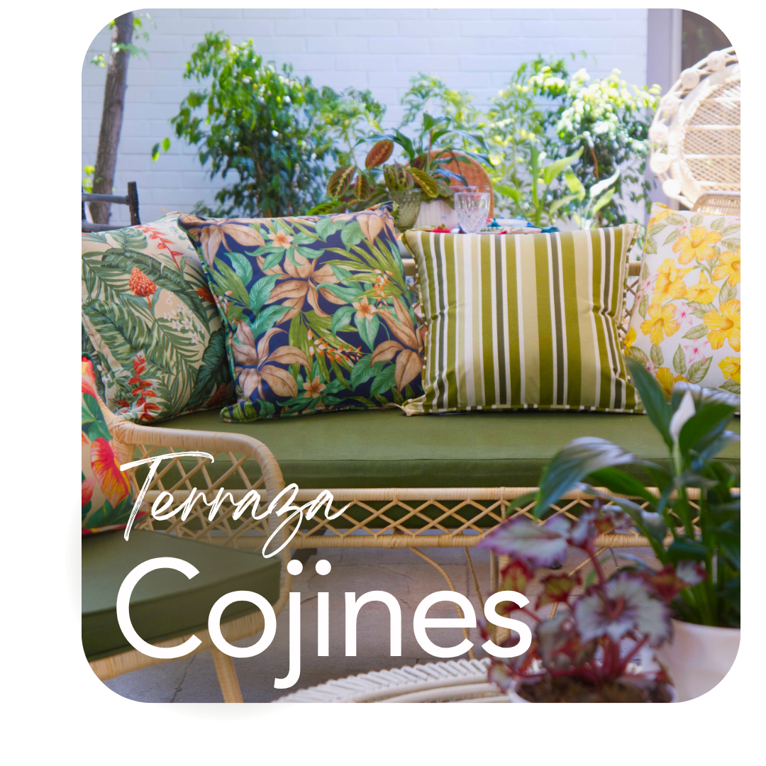 Cojines Exterior